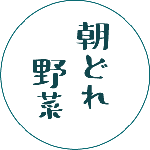 朝どれ野菜